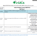 VIDIS Project Final Meeting